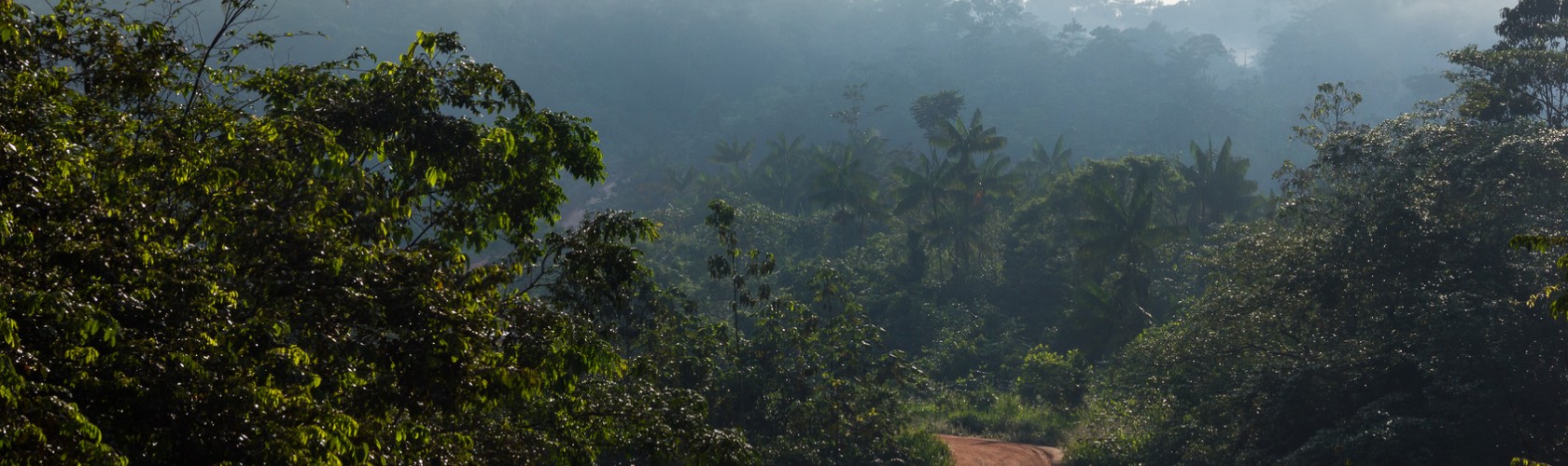 bc agro fruits secs noix amazonie biologique 