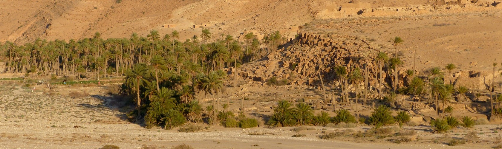 Bc agro fruits secs fait des tests qualité systématique 