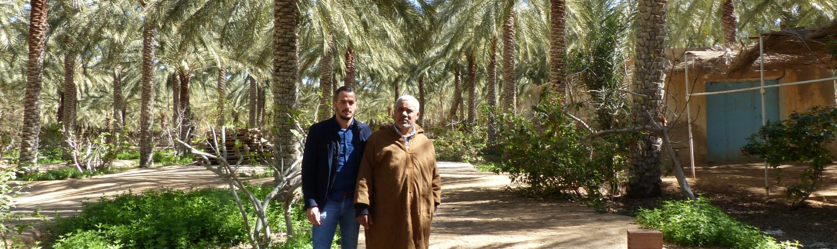 Bc agro fruits secs propose des dattes en provenance d'Algérie 