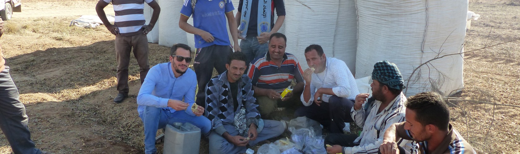 Bc agro fruits secs propose des arachides d'Egypte 