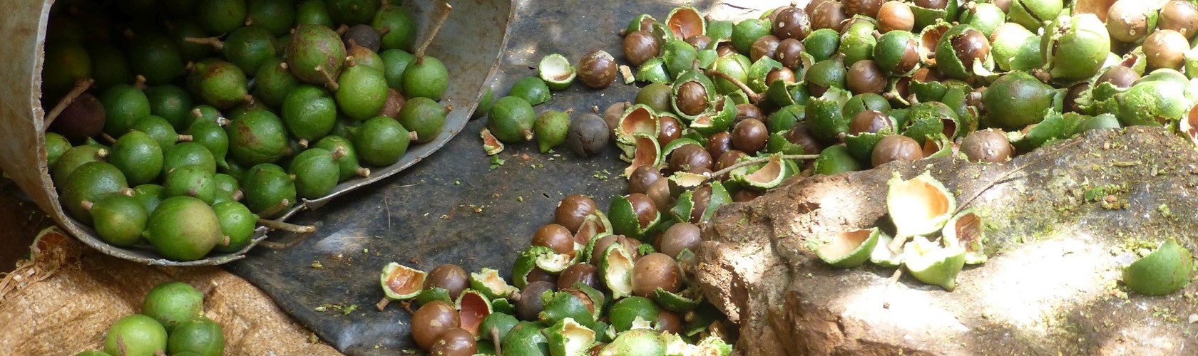 Bc agro fruits secs commerce équitable produits biologiques et certification AB 