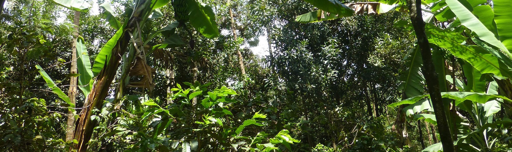 Bc agro propose des produits de qualité biologique issu de producteurs locaux 