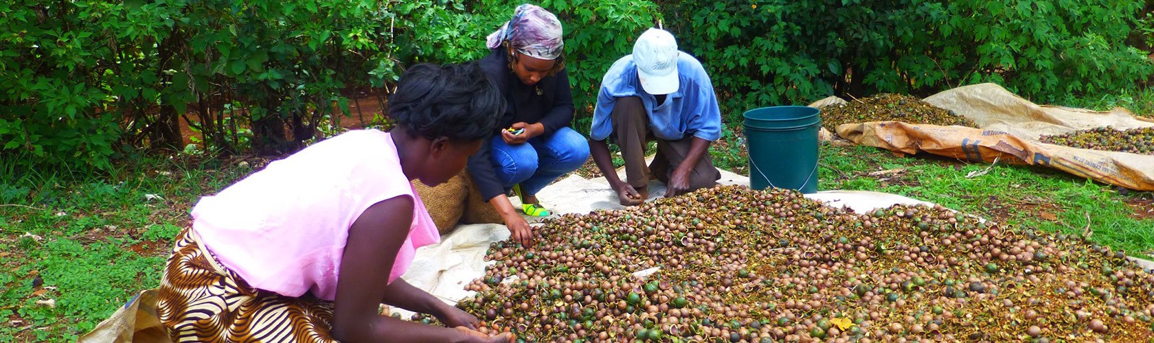 BC agro construction filière biologique courte et équitable 